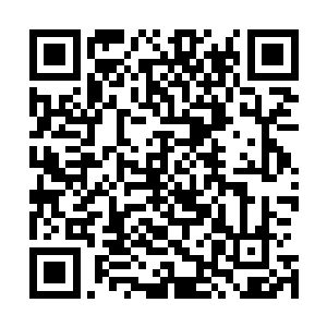 这黑袍心魔还是决定先分出一丝力量来轰杀这两头妖兽异形二维码生成