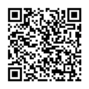 这黑鱬糕源源不断的能量是冲击化神境的关键所在二维码生成