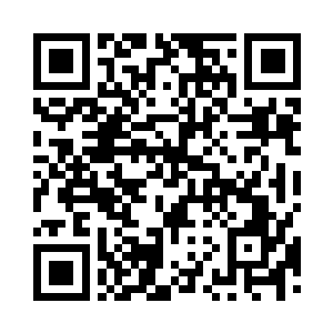 这鼠王有了如此宝物居然不知道运用二维码生成