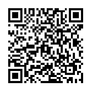 这龙耀会总部内所修的这条密道是有着防空洞的效果的二维码生成