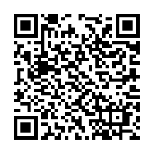 这龙虎惊神拳蕴藏的已不仅仅是彭耀龙自身的能力二维码生成