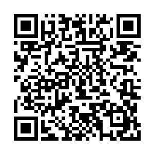 这---这王相不---不会指的就是那王黼吧二维码生成