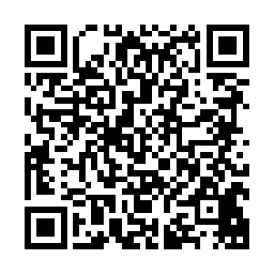 进了空间再出来的时候贝海想起了自己刚放到空间里的绿鱿鱼二维码生成