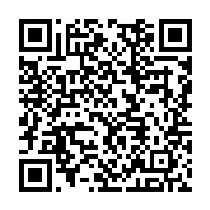 进了警局后多亏了林若溪找来张律师才能安然出来二维码生成