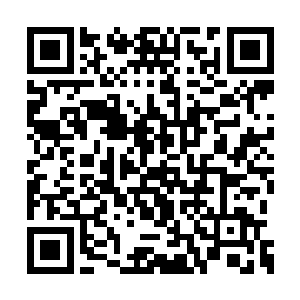 进入到这个洞口内便再也没有了各种各样的杀阵二维码生成