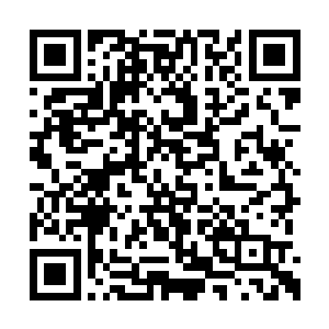 进入场域之人死的最多的便是在这暗黑潮汐当中二维码生成