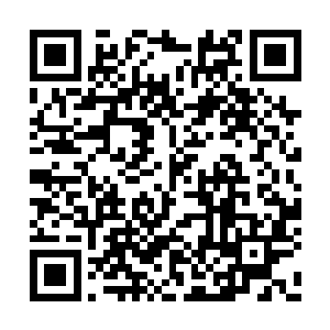 进入房间里夏天总算找到了一丝江海大学的气氛二维码生成