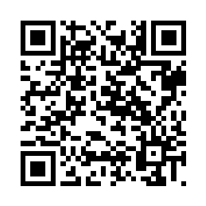 进化为全新生命形态的纳米闪电舰队二维码生成