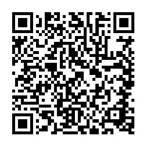 进去之后果然见到精灵女皇正在跟八个长相有些苍老的精灵不知道在商量什么二维码生成