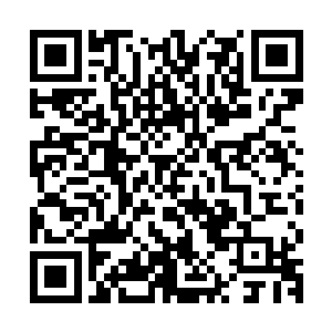 进而通过他高度发达的大脑判断出声音的主人对自己是否有威胁二维码生成