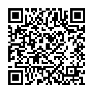 远吕智却又一次下达了这样一个令人不解的命令二维码生成