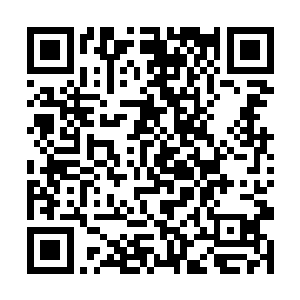 远在聚窟洲的夏云杰却是不知道自己运转紫府仙婴时二维码生成