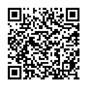 远在边疆的戎守斥候打探到令人感到震惊的消息二维码生成