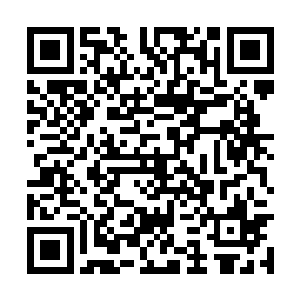 远处参与拜祖的众圣和众祖化身没好气地看着神匀二维码生成
