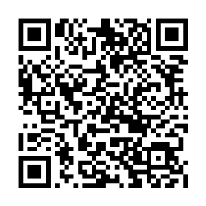 远处的白端木从这个尸体身上搜出来了一个令牌二维码生成