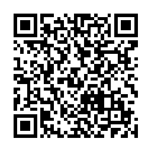 远处的见到这一幕的金鹏至尊脸上顿时露出了玭惊骇的神情二维码生成