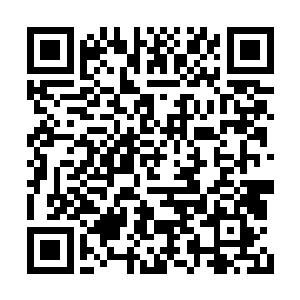 远处迷雾氤氲的迷雾山脉和浩瀚富庶的罗翰峡谷二维码生成