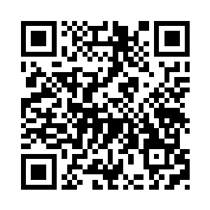 远处那边的那根巨蛇已经一动不动的躺在地上二维码生成