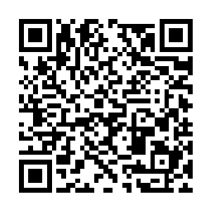 远征军的长驱直入无疑挑战了他们长久以来的高傲二维码生成