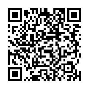 远方的一千五百名血披风豆兵已一起仰天发出尖锐的长啸二维码生成