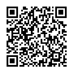 远没有愤怒等人之前见到过的一些大妖原形那么巨大恐怖二维码生成