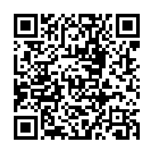 远没有我之前在太平洋小岛上遇到的那次风暴猛烈二维码生成