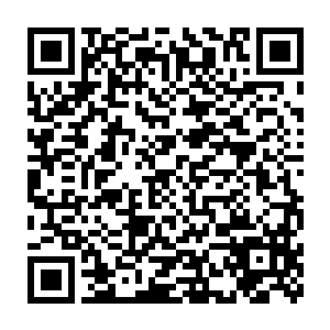 远远不能与可以达到风雷之道九层大圆满境界的魔神将段飞鸿相比二维码生成