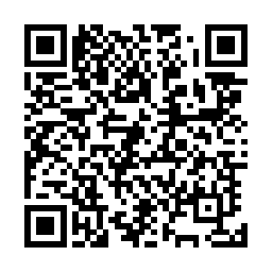 远远可以看见山下红星农场的场部围墙已经被拆掉了一大段二维码生成