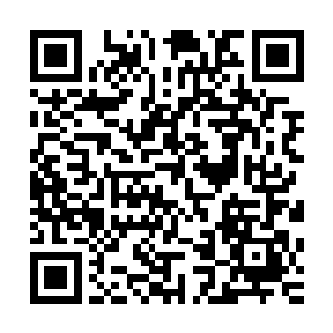 远远地一个火红衣裙一头红发的杨玲珑目光复杂地望着许紫烟二维码生成