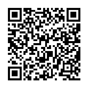 远远地听到食堂后面传来的流浪狗们欢快的叫声二维码生成