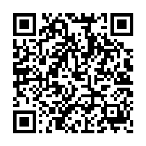 远远看着张一蛋的身影就这么消失在市场的边缘二维码生成