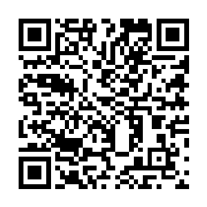 远远躲着的那个穿山甲似乎感觉到自己的灵魂发生了变化二维码生成