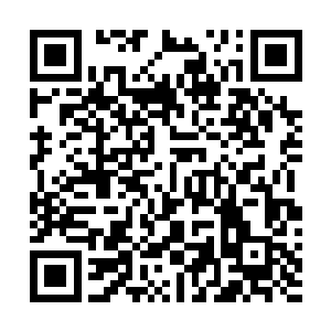 连一向不肯低头的乔霆都摆明架势不想招惹那个250机甲团二维码生成