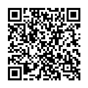 连一直低垂双目的白衣男子都忍不住抬起了目光瞥了一眼高易二维码生成