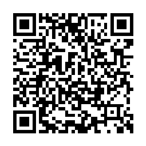 连书包都没来得及放下就立马扑进苏阮阮的怀里二维码生成