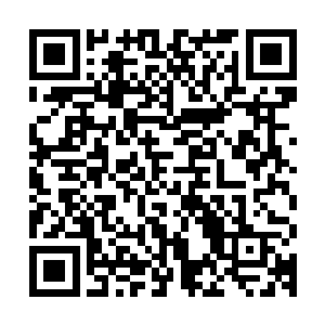 连五十位返虚三层境强者组成的强大阵容也拿帝苑没有任何办法二维码生成