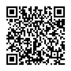 连他自己都没想到自己竟然有一天能在一个国家享受到这种待遇二维码生成