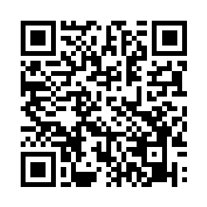 连他都如此不假思索地说按照夏教授的吩咐做二维码生成