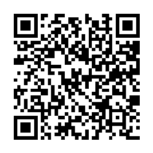 连俢肆亟不可待的绕回到之前那个振奋他心的话题二维码生成