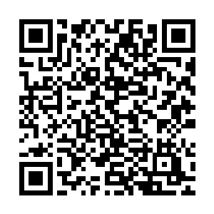 连冰月阁的死对头雷鸣武馆馆主雷虎的爱子雷豹也对她垂涎三尺二维码生成