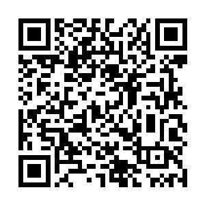 连区区举霞初期的血瞳老儿就可以强行抢占他的中幡界二维码生成