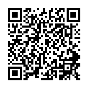 连同一起进入虚境入口的李逸等人也好像消失了一般二维码生成