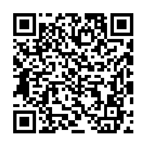 连君家的死对头世家秦家都有人暗暗接近叶妩……这一次二维码生成