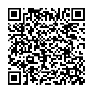 连吟风子和霍君瑶周身萦绕的氤氲仙气也被涂上了一层淡淡的蓝色二维码生成