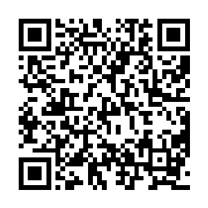 连咒法境八重的凌家大长老也一时半会儿也冲不开穴道二维码生成