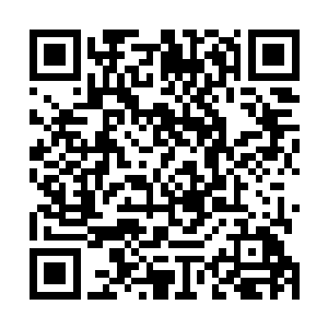 连在附近向东北方向清扫那些大树的人的动作都开始变形二维码生成