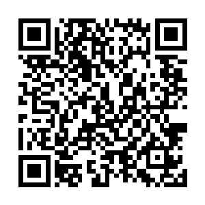 连天机门琅琊洞天之中的时间之塔的修炼权居然都拿出来了二维码生成