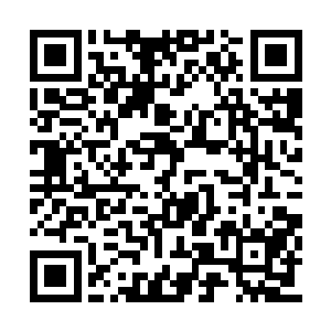 连太平洋对岸的媒体都加入到了讨论的行列当中二维码生成