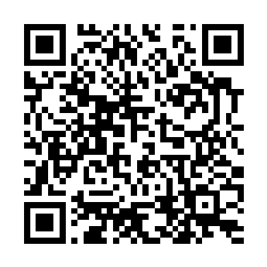 连太极玄水阵似乎也在这股力量之下开始颤动起来二维码生成