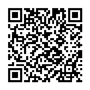 连她这个在蝶澜宗修行的苏棠都是初阶巅峰大武师了二维码生成